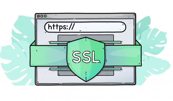 گواهینامه SSL