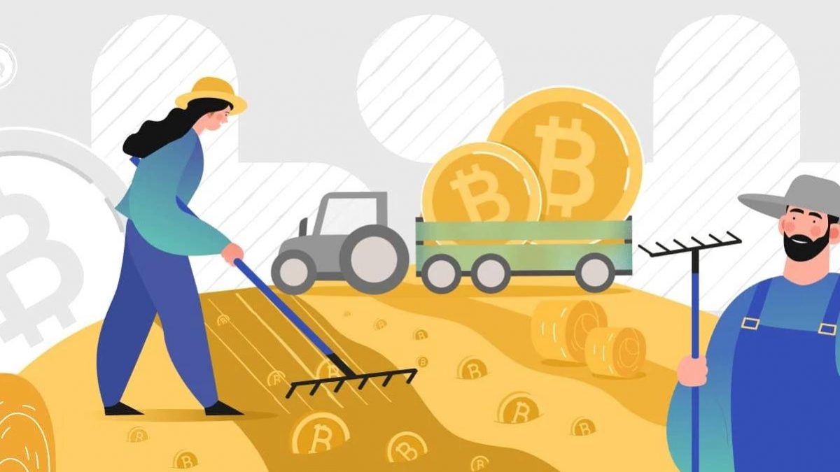 جامع‌ترین راهنمای ییلد فارمینگ یا کشت سود